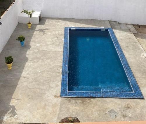 a blue swimming pool with two potted plants next to it at La Villa Maria in Dakar