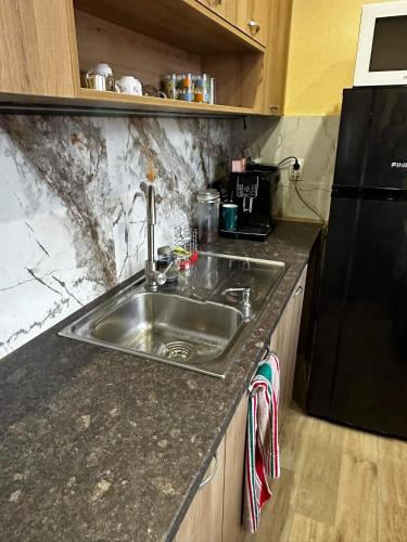 a kitchen with a sink and a black refrigerator at Апартамент Миели in Sofia