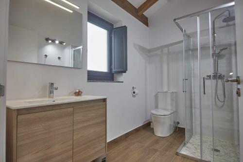 a bathroom with a shower and a sink and a toilet at Apartamentos Turísticos A Galera Ribadeo in Ribadeo