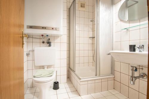 a bathroom with a toilet and a shower at Bergblick Appartements in Bad Gastein