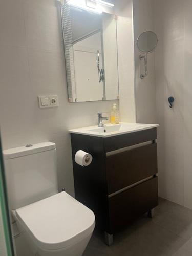 a bathroom with a toilet and a sink and a mirror at Piso y parking Zapillo playa in Almería