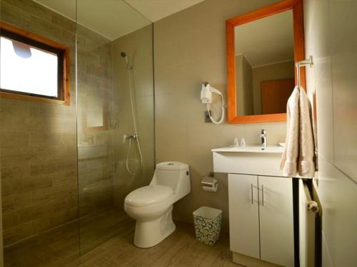 a bathroom with a toilet and a sink and a shower at Cabañas Altos del Lago in Pucón