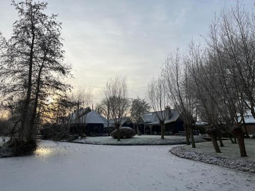 a yard covered in snow with trees and houses at Op Stolk bed & breakfast in Stolwijk