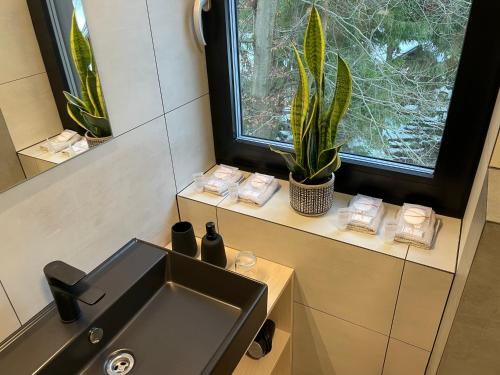 a bathroom with a sink and a window with a plant at Apartmán A29-2 Hrabovo, Ružomberok in Ružomberok