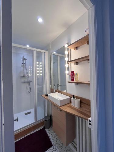 une salle de bain avec un lavabo et une douche dans l'établissement Appartement Bulles de Lumière, à Épernay