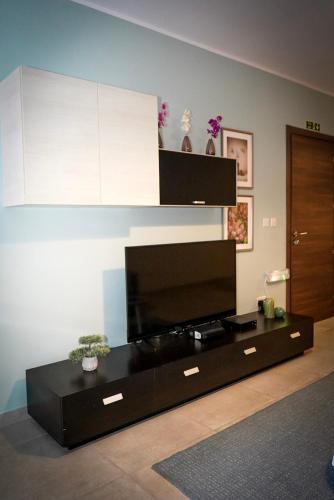 Μια τηλεόραση ή/και κέντρο ψυχαγωγίας στο Comfort and Convenience flat 4 dad's court