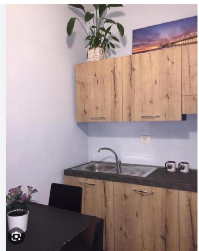 a kitchen with a sink and a table with a plant at monolocale d d in Parma