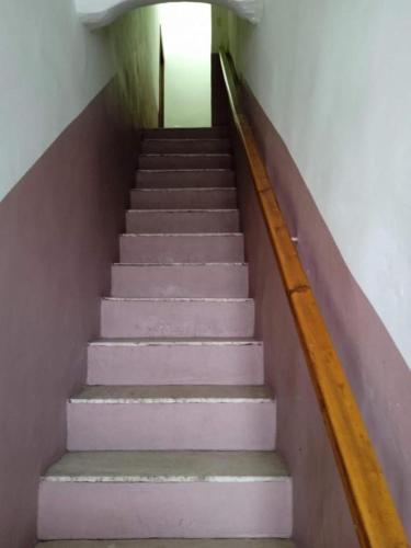 a staircase with pink steps and a stair railing at monolocale d d in Parma