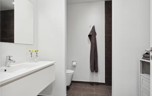 La salle de bains blanche est pourvue d'un lavabo et de toilettes. dans l'établissement Beautiful Home In Skagen With Wifi, à Skagen