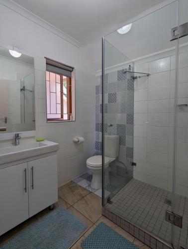 a bathroom with a shower and a toilet and a sink at 33 Longifolia in Stellenbosch