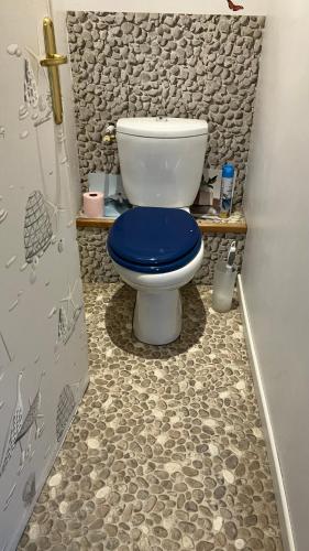 a bathroom with a toilet with a blue seat at Caux-Breizh in Rohan