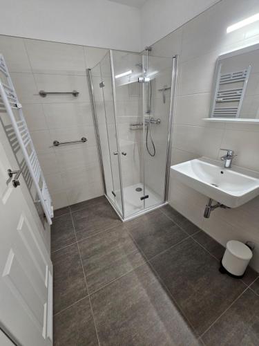 W łazience znajduje się prysznic i umywalka. w obiekcie Ferienwohnungen Dora und Hansi w mieście Braunlage