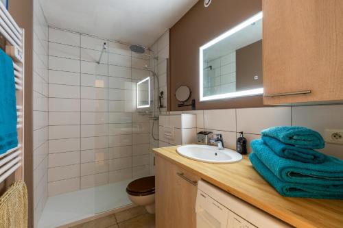 La salle de bains est pourvue d'un lavabo, de toilettes et d'un miroir. dans l'établissement Appartement la tournette, à Saint-Jorioz