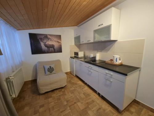 a kitchen with a counter and a chair in a room at Willa Antałówka in Zakopane