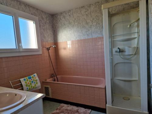 ein rosafarbenes Badezimmer mit einer Badewanne und einem Waschbecken in der Unterkunft LA CAMPAGNE in Dontreix
