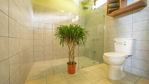 a bathroom with a toilet and a potted plant at Wellness Park CR in Fortuna