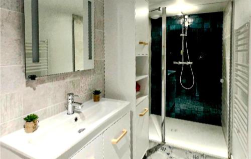 ein weißes Bad mit einem Waschbecken und einer Dusche in der Unterkunft Nice Home In Coulon With Wi-fi in Coulon