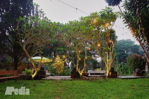 a park with trees with people sitting in the grass at Villa Tentram Puncak, 6 Kamar, Billiar, Karaoke in Paragajen