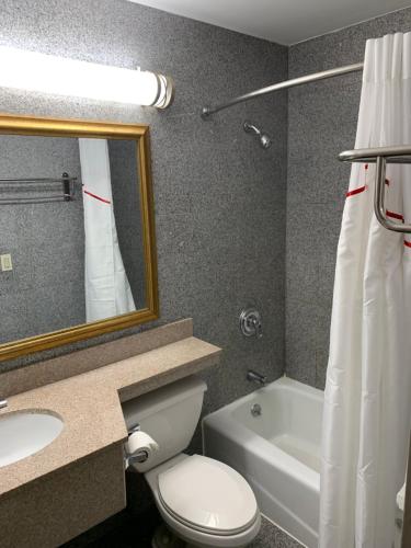 a bathroom with a toilet and a sink and a mirror at Red Roof Inn Copiague in Copiague
