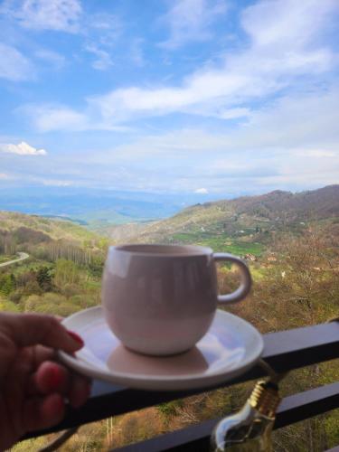 a white coffee cup on a plate with a view at Mon réve Nlux79 in Kopaonik