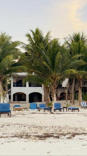 a beach with chairs and palm trees and a building at Casa Mate BeachFront HOUSES El Cuyo in El Cuyo