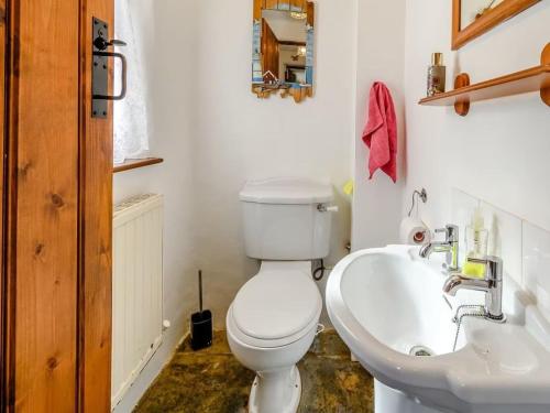 a bathroom with a white toilet and a sink at The Gatehouse at Y Gwesty Bach in Jordanston