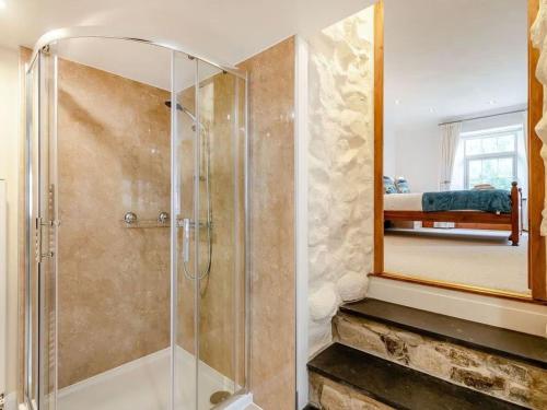 a bathroom with a shower and a mirror at Y Gwesty Bach in Jordanston