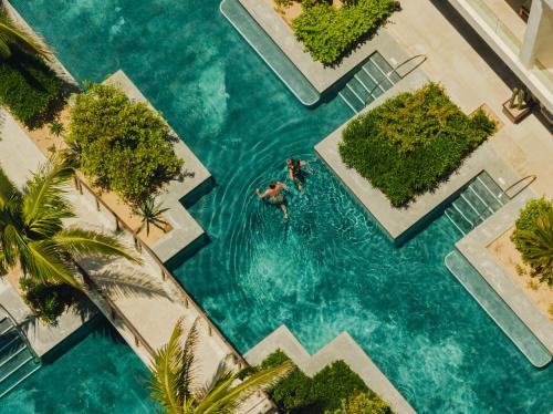 an overhead view of a person swimming in a pool at Nobu Hotel Los Cabos in Cabo San Lucas