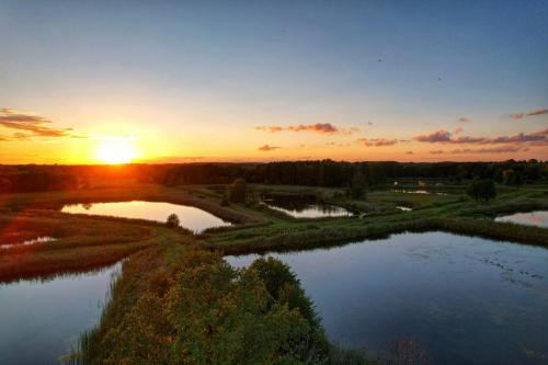 an aerial view of a river at sunset at SZUMI ROSA in Majdan