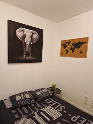een slaapkamer met een foto van een olifant aan de muur bij Chez Lilas 150m Plage in Duinkerke