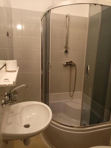 a bathroom with a shower and a sink and a toilet at AGRO obiekt hotelowy in Wrocław