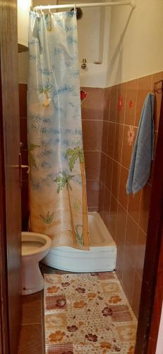 a bathroom with a shower curtain with a toilet at Maja Apartman in Igalo