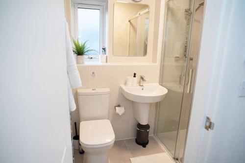 a bathroom with a toilet and a sink and a shower at Walnut Flats-F5, Stylish 1-Bedroom - Parking, Netflix, WIFI - Close to Oxford, Bicester & Blenheim Palace in Kidlington