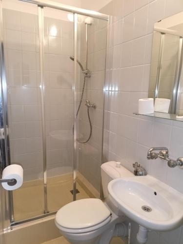 a bathroom with a shower and a toilet and a sink at AGRO obiekt hotelowy in Wrocław
