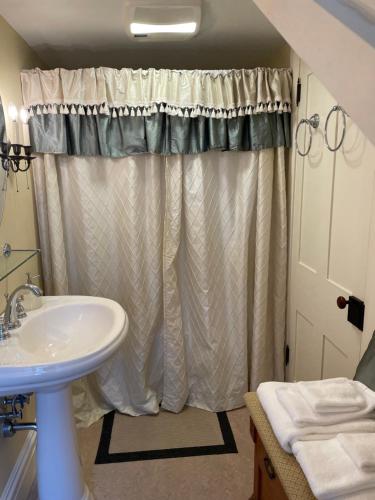 a bathroom with a sink and a shower curtain at Hollinger House in Lancaster