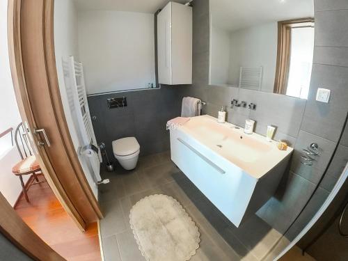 a bathroom with a sink and a toilet at Hedona vineyard apartment in Sarajevo