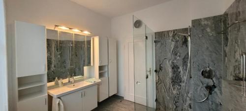 uma casa de banho com um lavatório e um chuveiro. em Zimmer in Jembke em Jembke