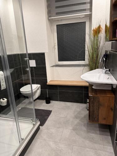 een badkamer met een douche, een wastafel en een toilet bij FeWo BiBo in Freiberg