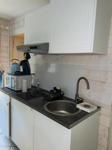 un comptoir de cuisine avec un évier et un micro-ondes dans l'établissement Studio Les Hortensias, à Arès