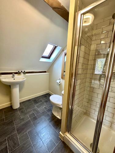 a bathroom with a toilet and a sink and a shower at The Manor at Abberley in Abberley