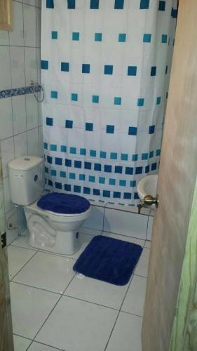 a bathroom with a toilet and a blue and white shower at Cabañas Los Canelos Hermosa granja en Pucón in Pucón