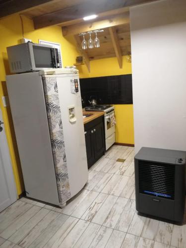 馬德普拉塔的住宿－Casa Alpina Mar del plata，厨房配有冰箱,上面配有微波炉