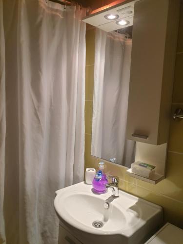 Koupelna v ubytování Novi Apartman 19