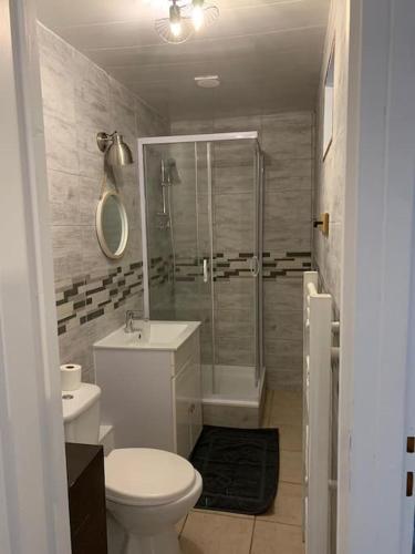 une salle de bain avec des toilettes blanches et une douche dans l'établissement Appartement avec terrasse 2, à Gien
