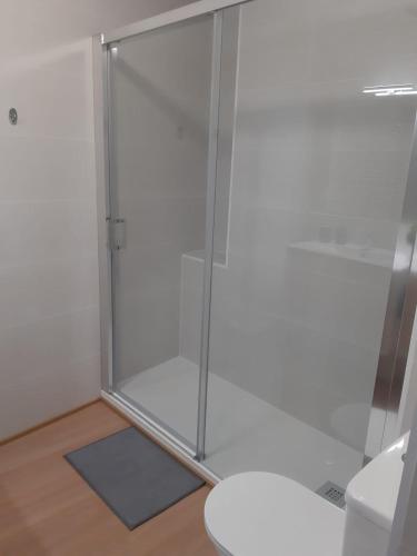 baño con cabina de ducha con puerta de cristal en Las Flores en Murcia