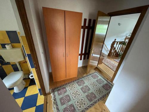 ヴァトラ・ドルネイにあるPensiunea Genţianaのバスルーム(トイレ付)、木製キャビネットが備わります。