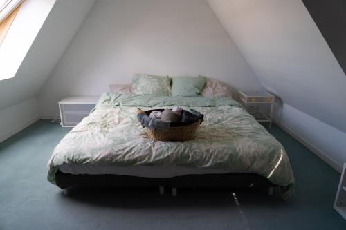 - une chambre avec un lit et un panier dans l'établissement La maison sur la place, à Saint-André