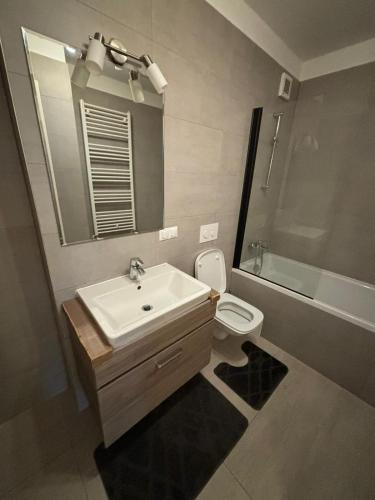 een badkamer met een wastafel, een toilet en een spiegel bij Royal Apartament in Braşov