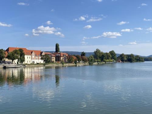 vistas a un río con casas y edificios en Mushrooms Malomszállás, en Tata