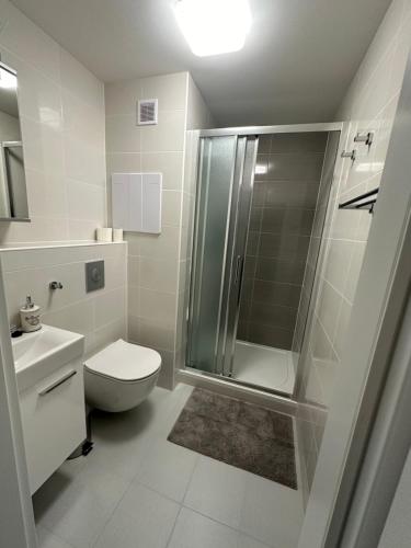 biała łazienka z prysznicem i toaletą w obiekcie Apartmán Kovářská u Klínovce w mieście Kovářská